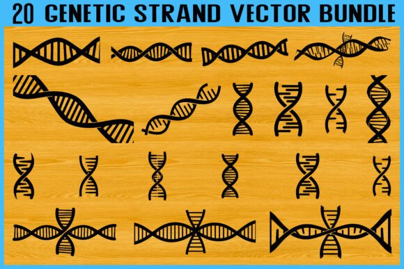 20 Genetic Strand DNA Vector Bundle Review