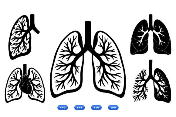 Anatomical Lung Vector Clipart for Graphics and Crafts